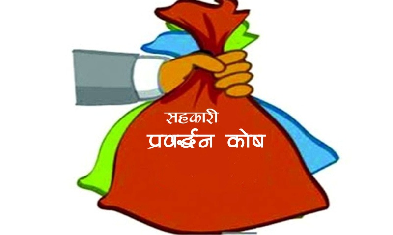 कोषमा रकम जम्मा गर्ने म्याद ३ दिन बाँकी, नगरे के हुन्छ ?